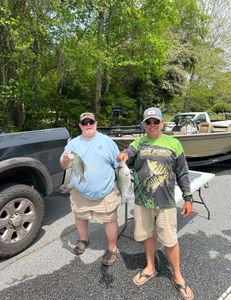 Two crappie fish caught while fishing in Gainesville