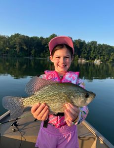 Crappie fish caught in Gainesville