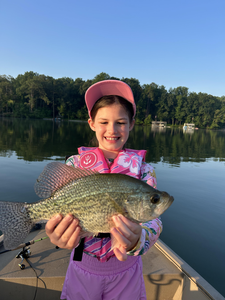 Huge crappie reeled in at Sardis Creek Park using light tackle!
