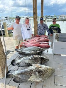 Three tripletail fish, fishing in GA