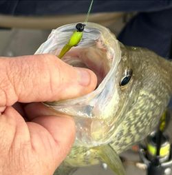 A fishing adventure in Gainesville