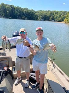Three small fish caught while fishing in Gainesville