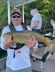 A grass carp fish being caught by two people fishing in Gainesville