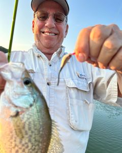 Lone angler fishing in Georgia