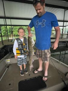 Monster Catfish from Lake Lanier