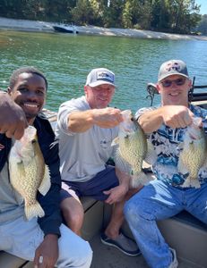 Three crappie fish caught in GA