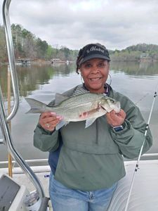 A white bass fish caught in GA