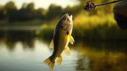 Perfect timing for an exciting catch at sunset!