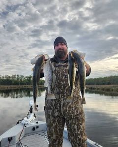 Fish-Species