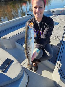 Fish-Species