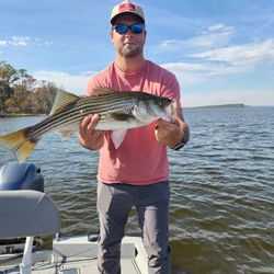 Fish-Species