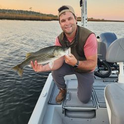 Fish-Species