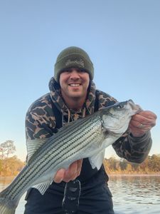 Fish-Species