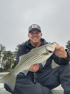 Fish-Species