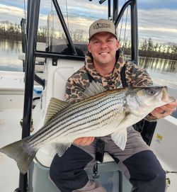Fish-Species