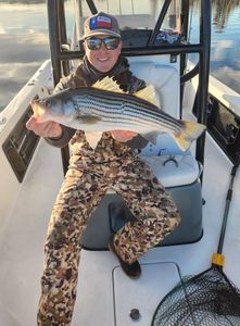 Fish-Species
