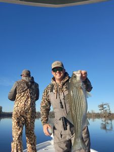 Fish-Species