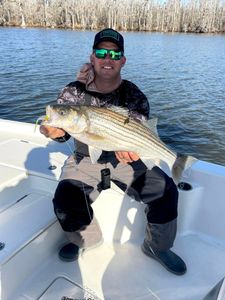The perfect day for a striped bass adventure!