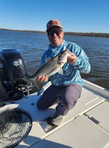 Striper fishing memories made today! 