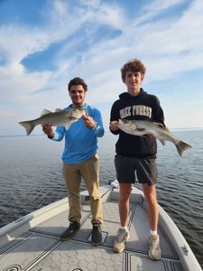 Fish-Species