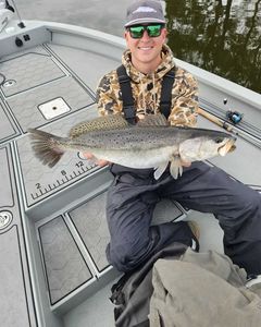 Fish-Species
