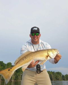 Fish-Species