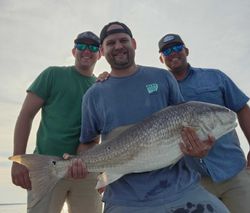 Fish-Species