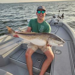 Fish-Species
