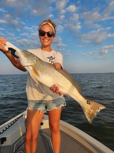 Fish-Species