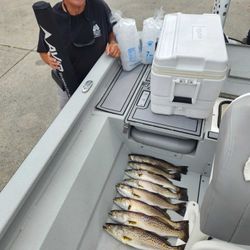 Fish-Species