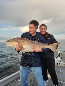 Fish-Species