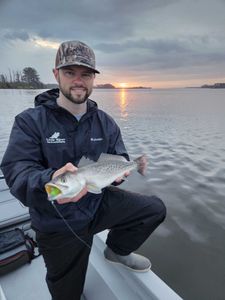 Fish-Species