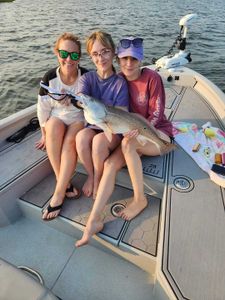Fish-Species