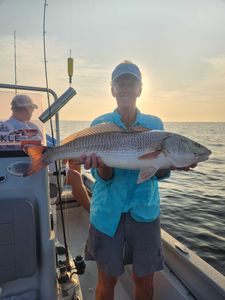 Fish-Species