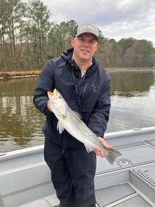 Fish-Species