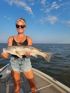 Fish-Species