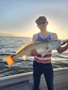 Fish-Species