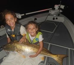 Fish-Species