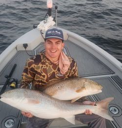 Fish-Species