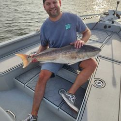 Fish-Species