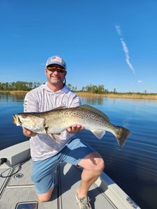 Fish-Species