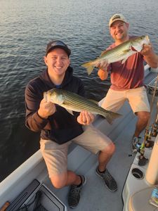 Fish-Species