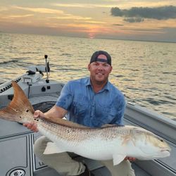 Redfish, 38-inch catch in New Bern