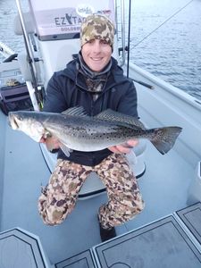 Spotted weakfish caught in NC