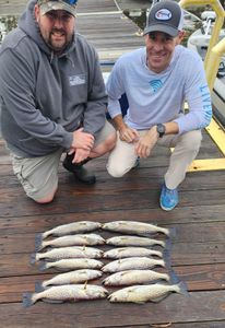 Two anglers with four spotted weakfish caught while fishing in New Bern
