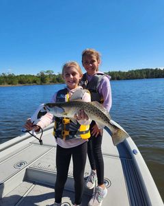 Spotted Weakfish, 23 inches, caught while fishing in New Bern