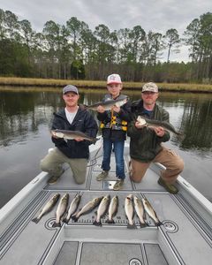 Spotted Weakfish, 8 fish caught in New Bern