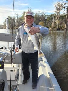 Spotted weakfish, 18-inch fish caught while fishing in New Bern