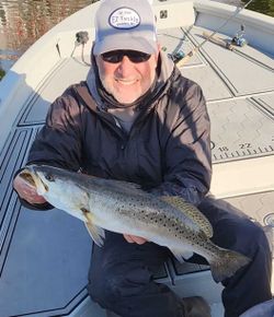 Spotted Weakfish caught by angler in New Bern