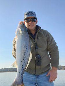 Spotted Weakfish caught while fishing in New Bern